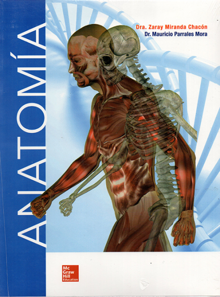 \"Anatomía\"