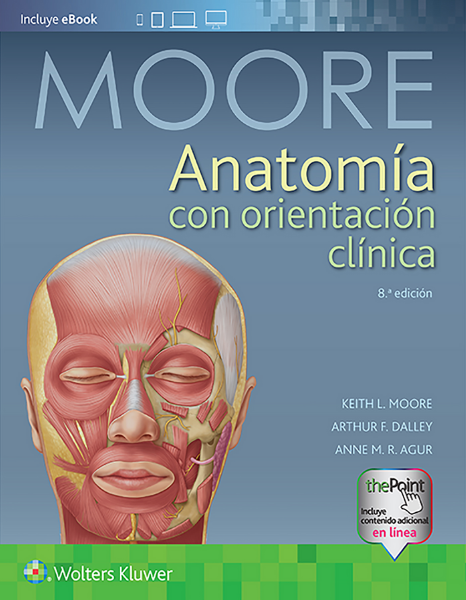 \"Anatomía