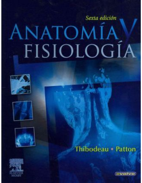 \"Anatomia